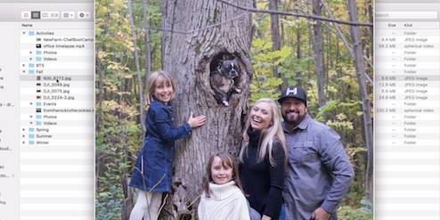 Tuesday Tutorial - How and Why You Need An Image Database